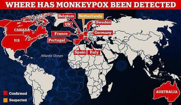 MONKEYPOX DETECTED IN COUNTRIES WHERE THERE ARE NOT MONKEYS _2022-06-12_18-24-03.jpg