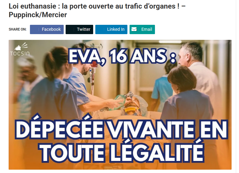 Screenshot 2026-02-24 230940_edited.png