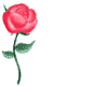 amour,sexualité