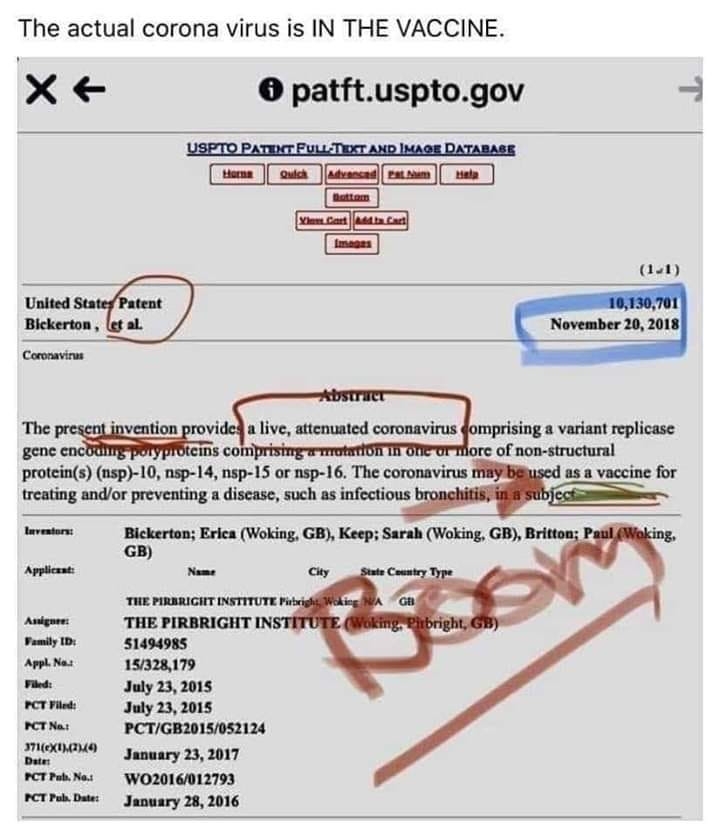 THE ACTUAL CORONA VIRUS IS IN THE VACCINE Py6B2u5a346Qr4SSLV1g_05_34855903728385a3de89345721df3381_image_original.jpg