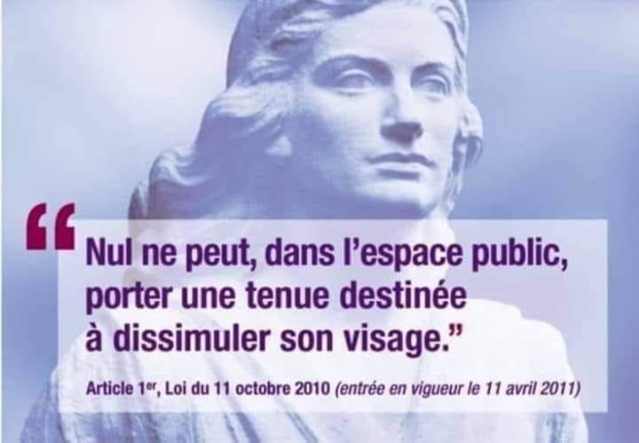 article qui interdit de masquer son visage.jpg