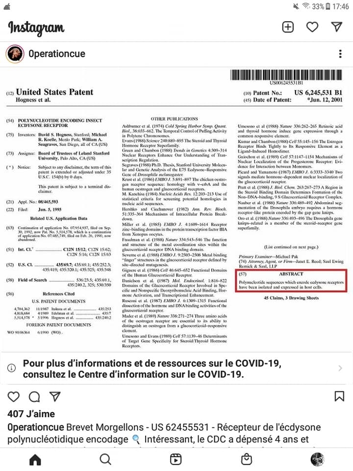 BREVET MORGELLONS POLYNUCLEOTIDE 170764839_446158989947300_6805050241179952371_n.jpg